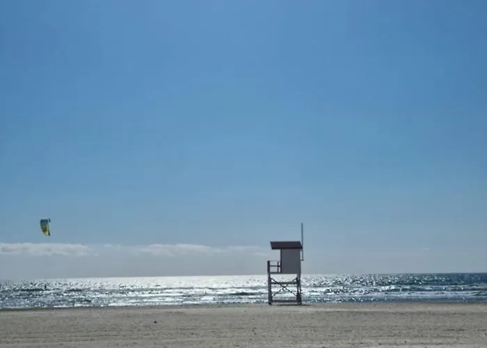 Apartment Promenada Sea View Navodari